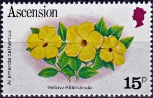 Colnect-4230-342-Yellow-Allamanda-Allamanda-cathartica.jpg