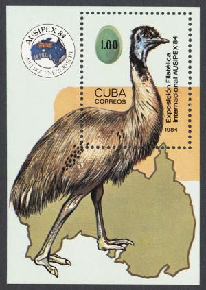 Colnect-852-473-Emu-Dromaius-novaehollandiae.jpg