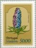 Colnect-185-806-Pride-of-Madeira-Echium-candicans.jpg