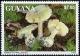 Colnect-2149-232-Amanita-phalloides.jpg