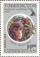Colnect-804-382-Rhesus-macaque-Macaca-mulatta.jpg