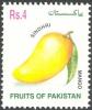 Colnect-617-147-Mangos-Sindhri.jpg