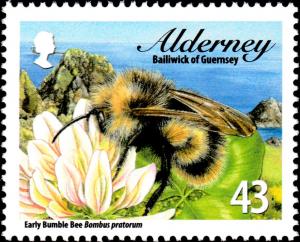 Colnect-5452-002-Early-Bumble-Bee-Bombus-pratorum.jpg