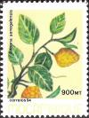 Colnect-1122-673-Medicinal-Plants.jpg