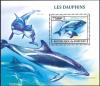 Colnect-3938-763-Commerson--s-dolphins.jpg