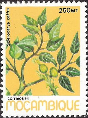 Colnect-1122-672-Medicinal-Plants.jpg