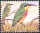 Colnect-938-670-Little-Bee-eater-Merops-pusillus-ssp-cyanostictus.jpg