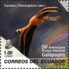 Colnect-506-583-American-Flamingo-Phoenicopterus-ruber.jpg