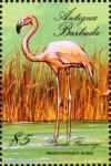 Colnect-6041-036-Greater-Flamingo-Phoenicopterus-roseus.jpg