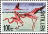 Colnect-954-059-American-Flamingo%C2%A0Phoenicopterus-ruber.jpg