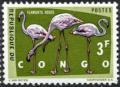 Colnect-1093-572-Greater-Flamingo-Phoenicopterus-roseus.jpg