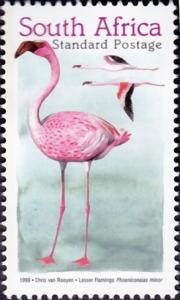 Colnect-4389-121-Lesser-Flamingo-Phoenicopterus-minor.jpg