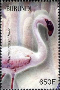 Colnect-1593-016-Lesser-Flamingo-Phoeniconaias-minor.jpg
