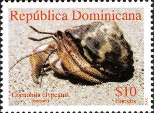 Colnect-1610-834-Caribbean-Hermit-Crab-Coenobita-clypeatus.jpg