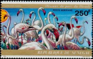 Colnect-2037-635-Greater-Flamingo-Phoenicopterus-roseus.jpg