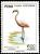 Colnect-1617-413-Greater-Flamingo-Phoenicopterus-roseus.jpg