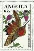 Colnect-2221-137-Rufous-Hummingbird-Selasphorus-rufus.jpg
