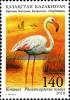 Colnect-5090-566-Greater-Flamingo-Phoenicopterus-roseus.jpg