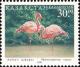 Colnect-1112-162-Greater-Flamingo-Phoenicopterus-roseus.jpg