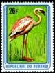 Colnect-3097-635-Lesser-Flamingo-Phoeniconaias-minor.jpg