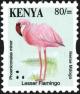 Colnect-4090-075-Lesser-Flamingo%C2%A0Phoeniconaias-minor.jpg