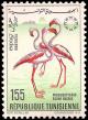 Colnect-4518-564-Greater-Flamingo-Phoenicopterus-roseus.jpg