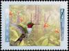Colnect-588-477-Ruby-throated-Hummingbird-Archilochus-colubris.jpg