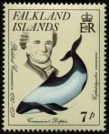 Colnect-1736-738-Philibert-Commerson-Commerson--s-Dolphin-Cephalorhynchus-co.jpg