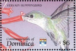 Colnect-5250-461-Vervain-Hummingbird-Mellisuga-minima.jpg
