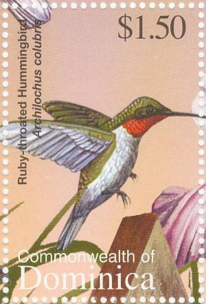 Colnect-5250-551-Ruby-throated-Hummingbird%C2%A0Archilochus-colubris.jpg