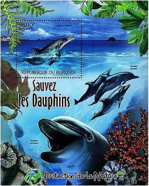 Colnect-3102-352-Short-Beaked-Common-Dolphin-Delphinus-delphis.jpg