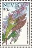 Colnect-1646-419-Vervain-Hummingbird-Mellisuga-minima.jpg
