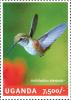 Colnect-4804-818-Black-chinned-Hummingbird-Archilochus-alexandri.jpg