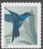 Colnect-2170-400-Broad-billed-Hummingbird-Cynanthus-latirostris.jpg