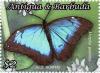 Colnect-4737-384-Morpho-peleides.jpg