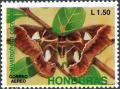 Colnect-4990-738-Cecropia-Moth-Hyalophora-cecropia.jpg