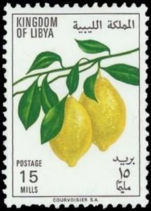 Colnect-4430-137-Lemon---Citrus-limon.jpg