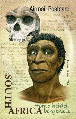 Colnect-1608-386-Homo-heidelbergensis.jpg