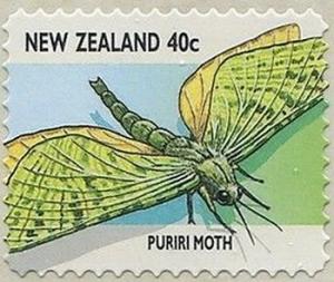 Colnect-2247-690-Puriri-Moth-Aenetus-virescens.jpg