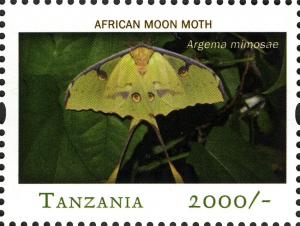 Colnect-2427-325-African-Moon-Moth-Argema-mimosae.jpg