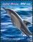 Colnect-5646-316-Long-beaked-Common-Dolphin-Delphinus-capensis.jpg
