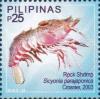 Colnect-6240-602-Rock-Shrimp-Sicyonia-parajaponica.jpg