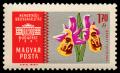 1393_Stamp_170.jpg