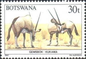 Colnect-2848-664-Gemsbok-Oryx-gazella.jpg