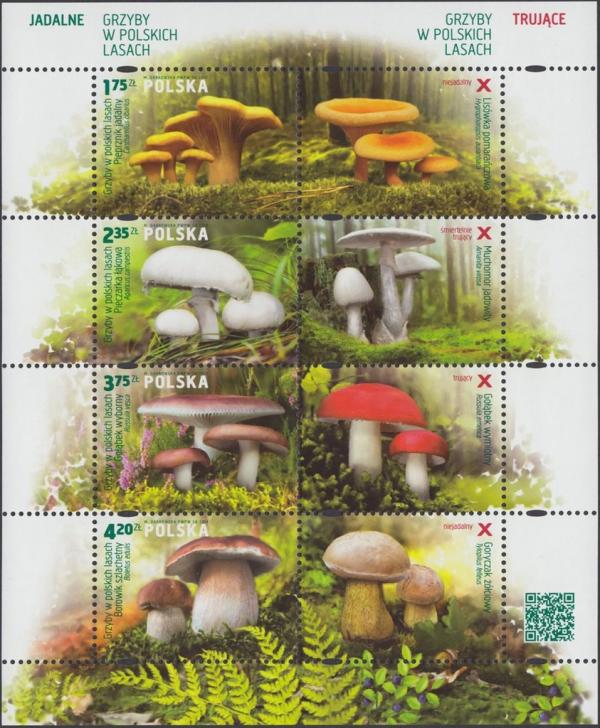 Colnect-4812-926-Mushrooms-of-the-Polish-Woods.jpg