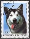 Colnect-1186-522-Alaskan-Malamute-Canis-lupus-familiaris.jpg