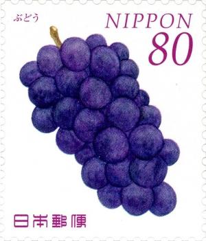 Colnect-3048-965-Grapes-Muscadinia-rotundifolia.jpg