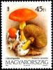 Colnect-1020-613-Caesar-s-mushroom-Amanita-caesarea.jpg