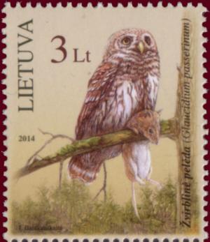 Colnect-2400-934-Eurasian-Pygmy-Owl-Glaudicium-passerinum.jpg