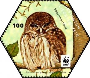 Colnect-5261-329-Eurasian-Pygmy-Owl-Glaucidium-passerinum.jpg